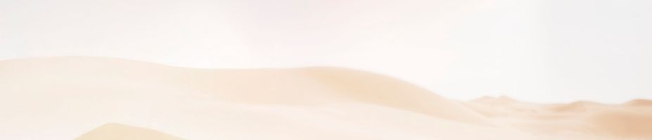 Dreamy Lightness Themenbild: Wüstenlandschaft