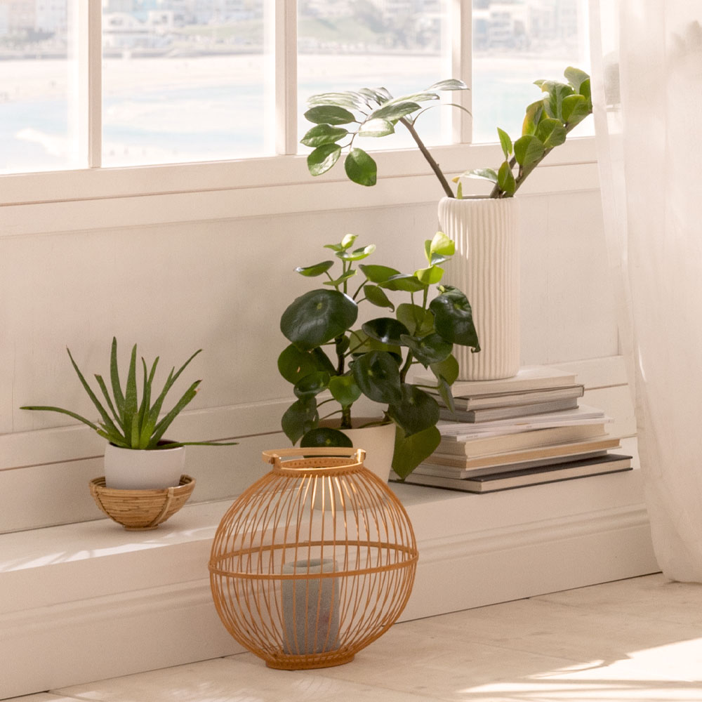 Estella Meerzeit Thema | Online-Shop