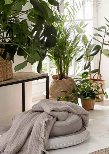 Urban Jungle ► Tropischer Trend im Interior Design 