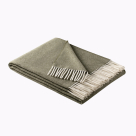 tanne - 580