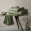 tanne - 580