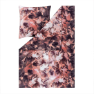 morepic-2