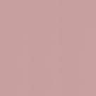 morepic-3