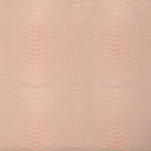 morepic-3