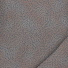 morepic-3