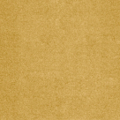 morepic-3