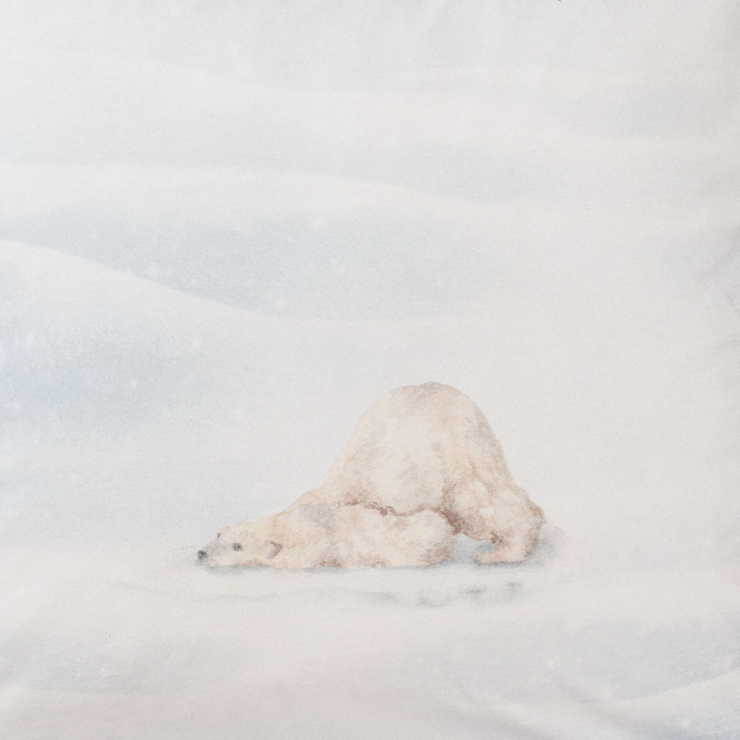 Bettwäsche Polaris | schnee 