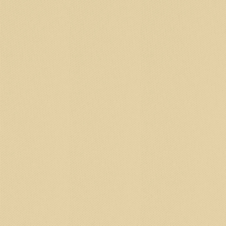 Spannbetttuch Feinjersey | natur 