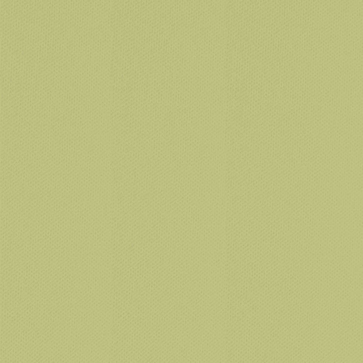 Spannbetttuch Feinjersey | maigrün 