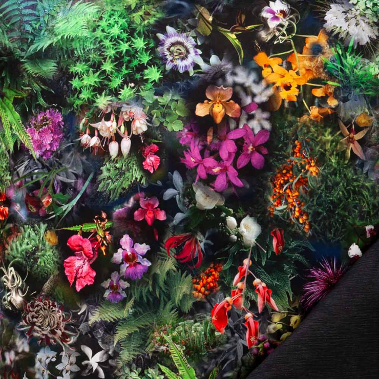 Bettwäsche Mystical flowers | multicolor 