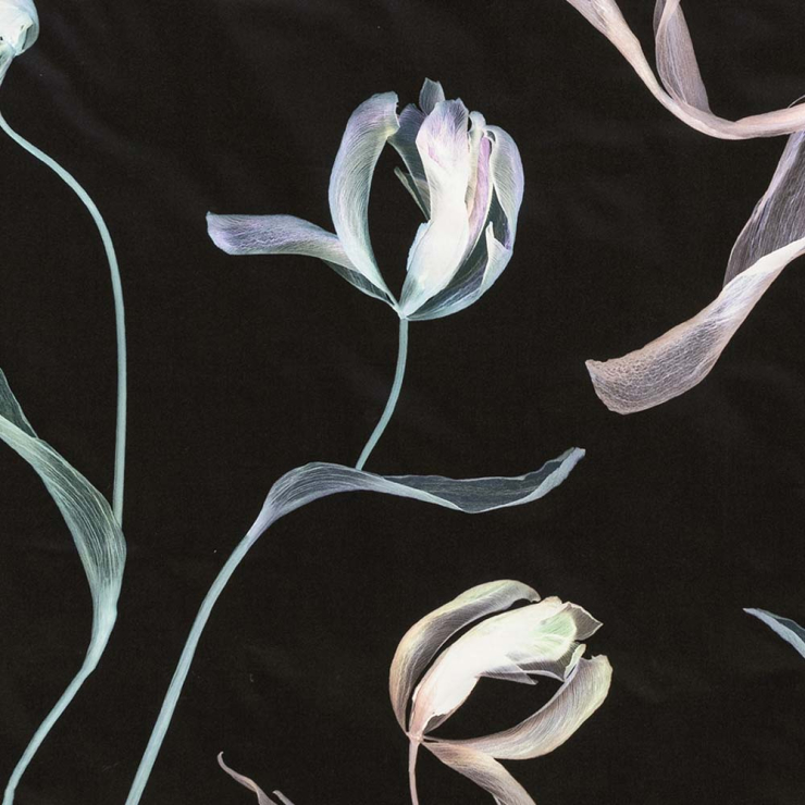 Bettwäsche Tulipa | schwarz 