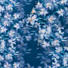 morepic-4